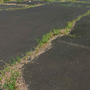 parking-lot parking-lot